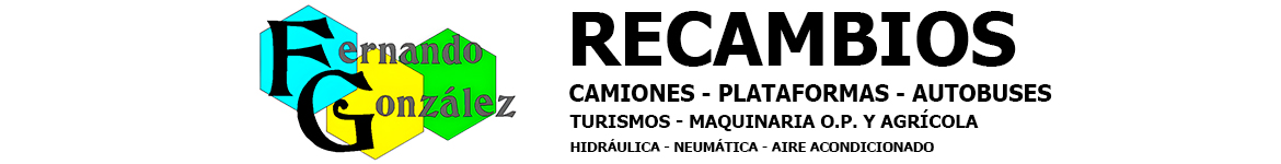 Fernando González Recambios